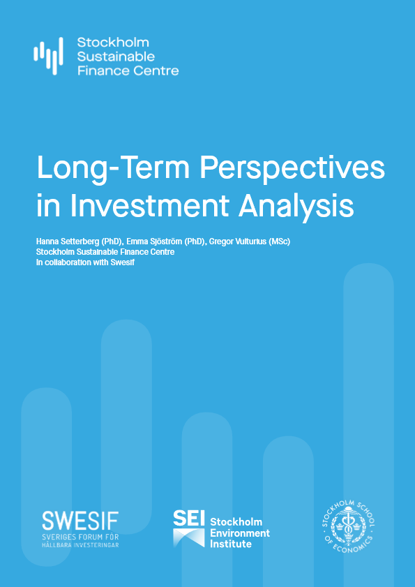 Long Term Perspectives in Investment Analysis